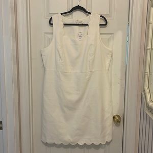 J.Crew Factory White Scallop Dress Sz 20